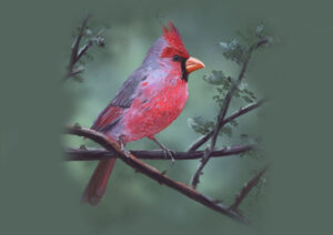 slider_digital_image_01