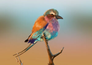 slider_digital_image_02