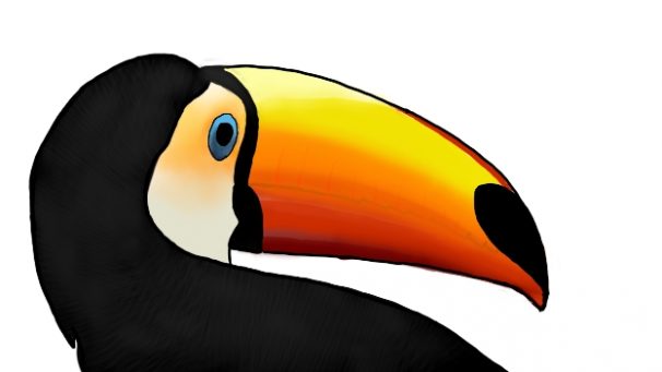 bird_digital1