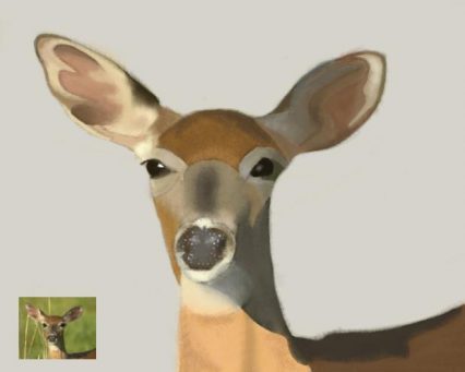 deer_correction done1