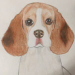 puppy_color pencil