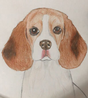 puppy_color pencil