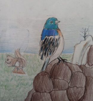 Prithiv_bird