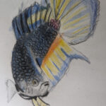 Prithiv_fish