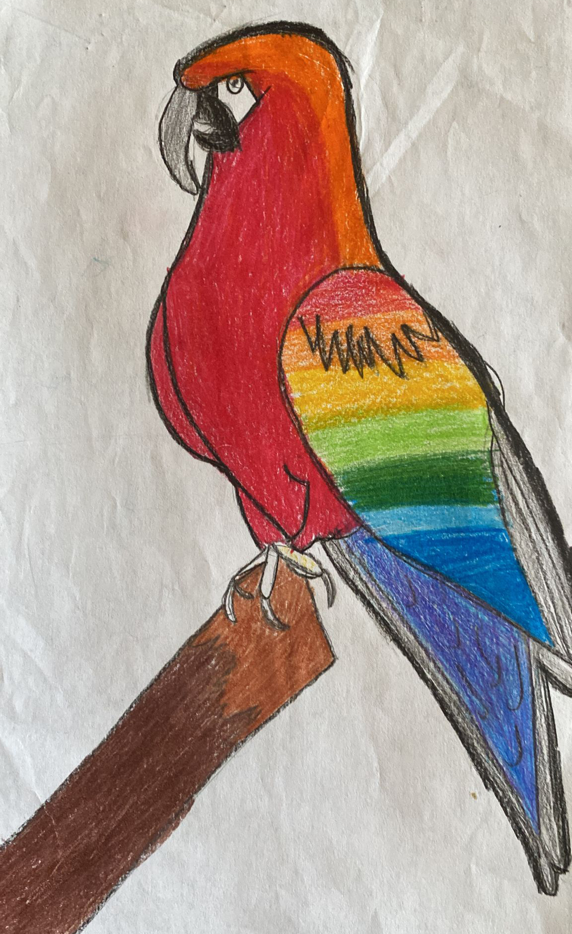 Student Drawing