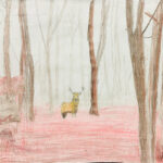 aweek Pic_4 fog forest