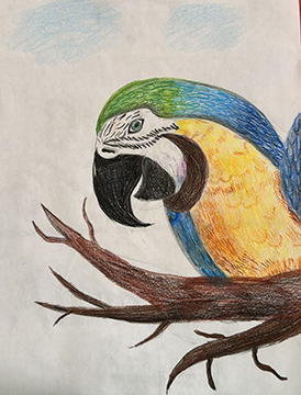 Student Drawing