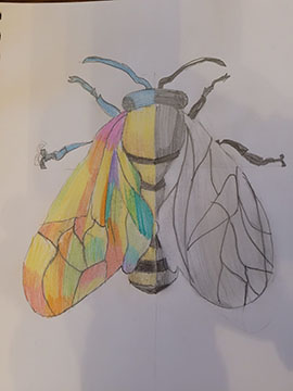 Student Drawing