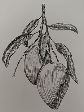 Student Drawing