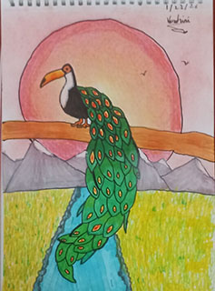 Student Drawing