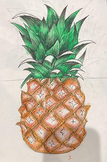 Pineapple by Akshaj
