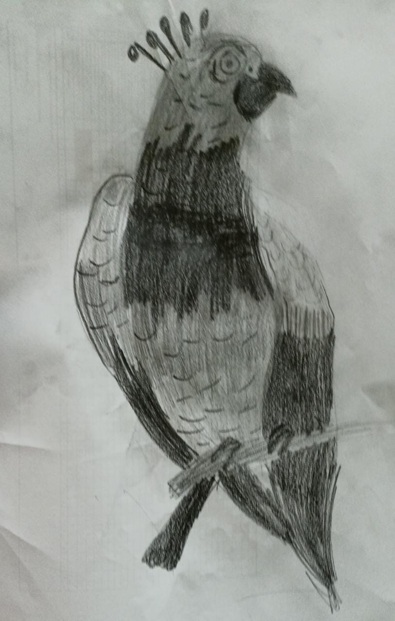 Student Drawing